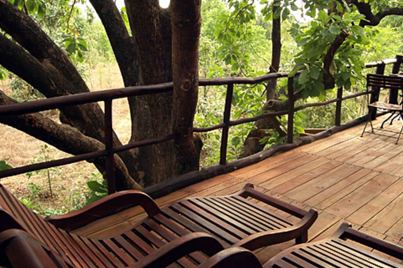Pool - Treehouse Hideaway