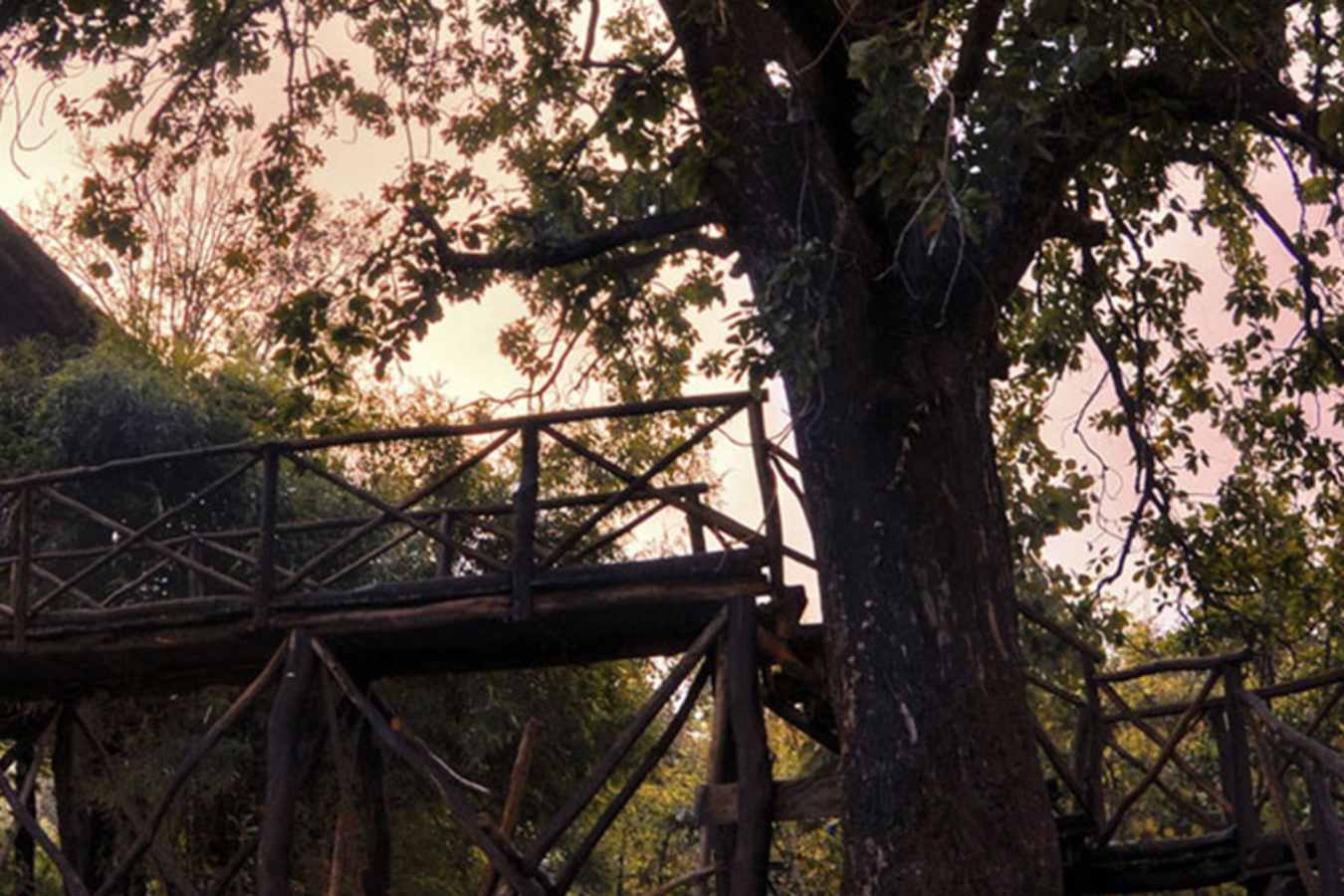 Exterior - Treehouse Hideaway
