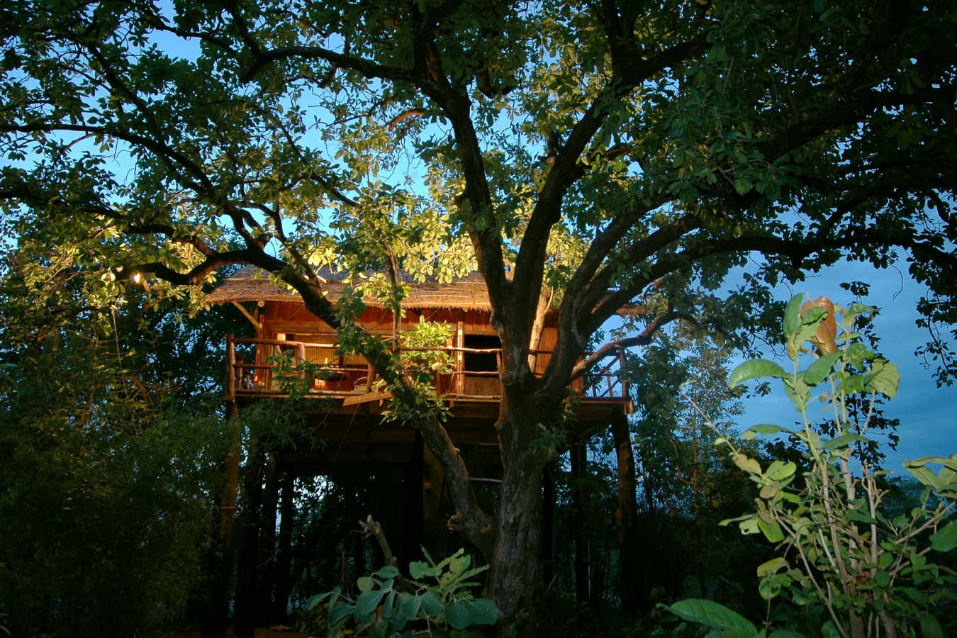 Treehouse - Treehouse Hideaway