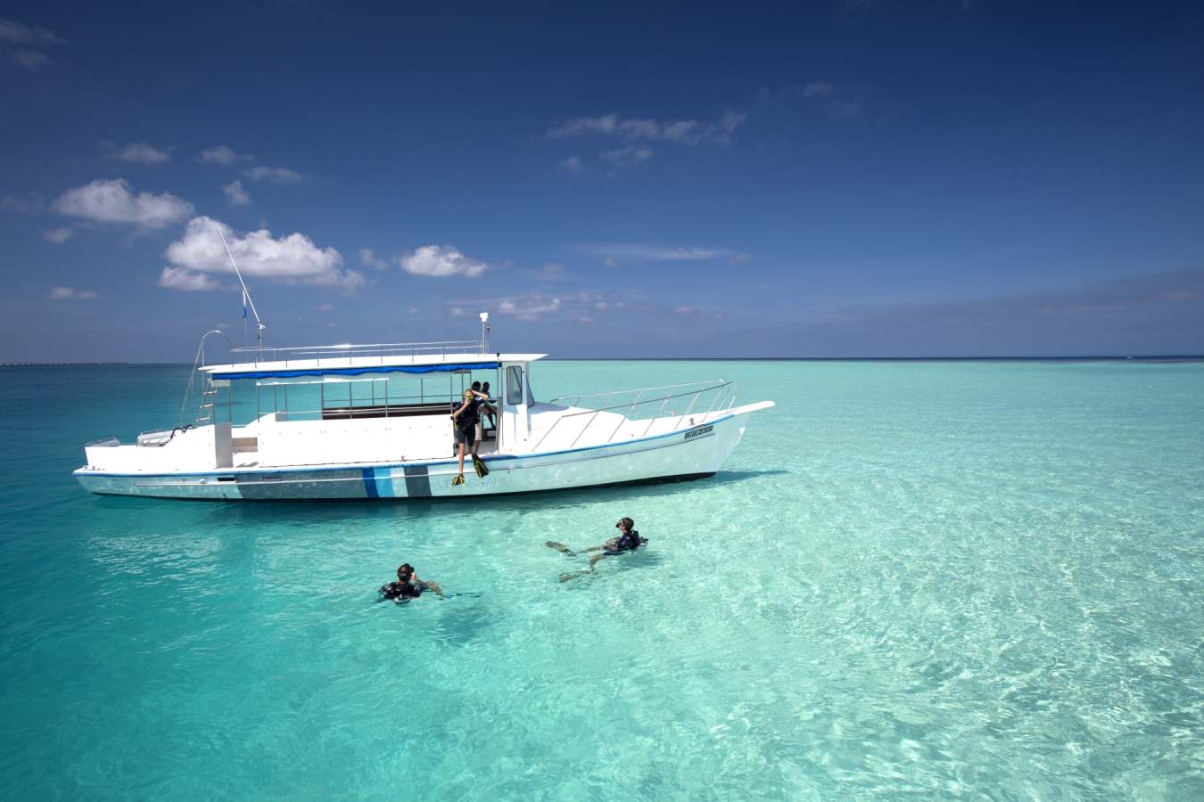 Diving - Kerala and the Maldives