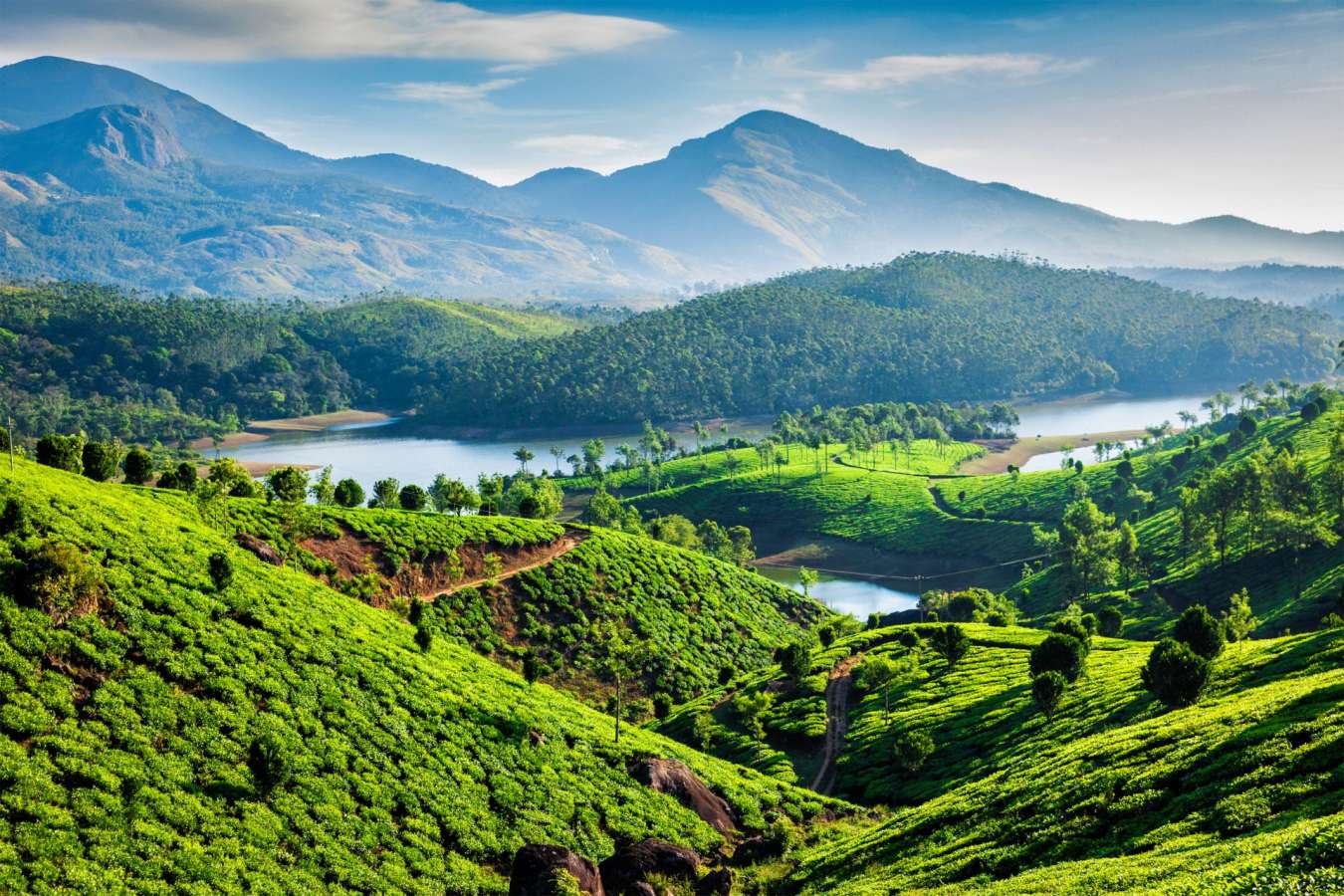 Munnar - Treasures of Cochin & Tamil Nadu