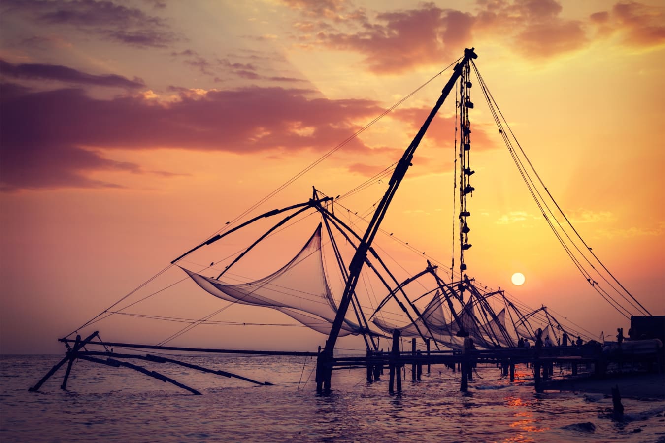 Cochin - Treasures of Cochin & Tamil Nadu