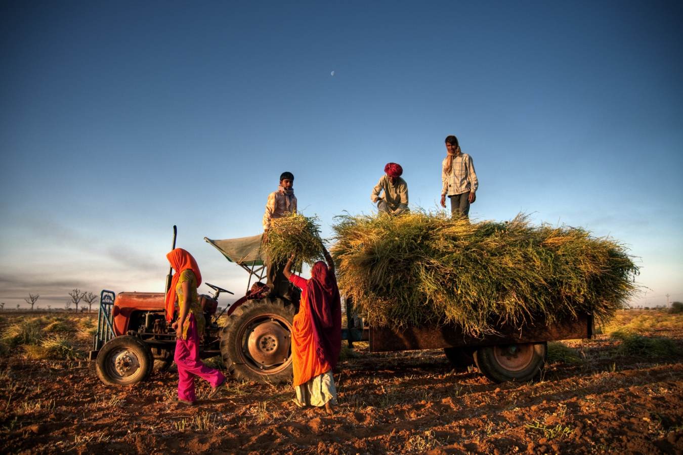 Rural Rajasthan  -