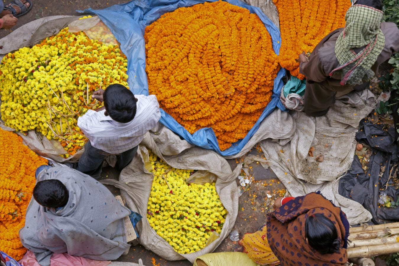 Flower Market 