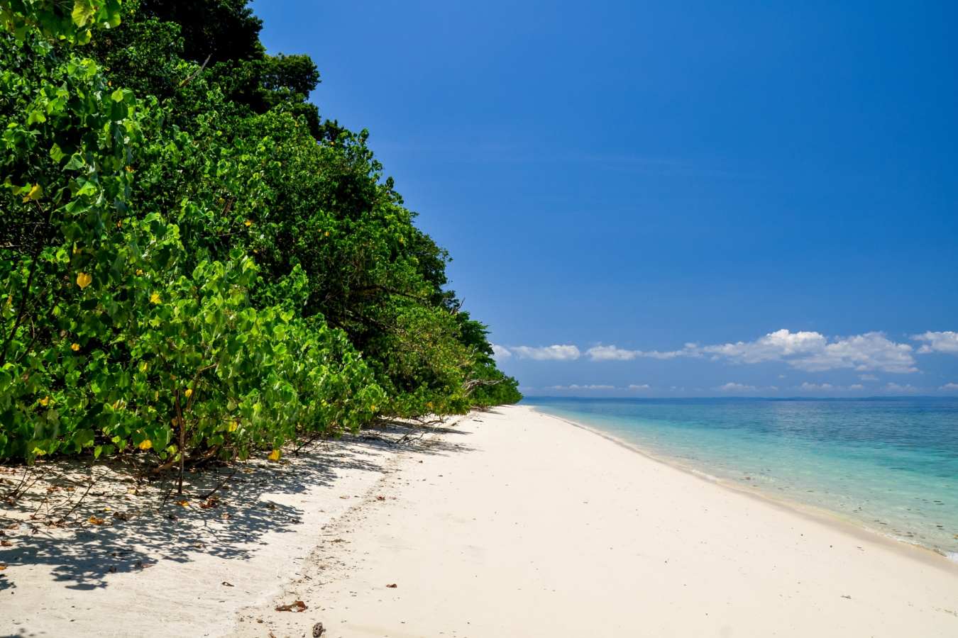 Havelock Island - Tamil Nadu & the Andamans