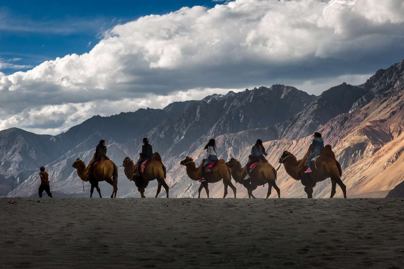 Camel Trek in Nubra Valley