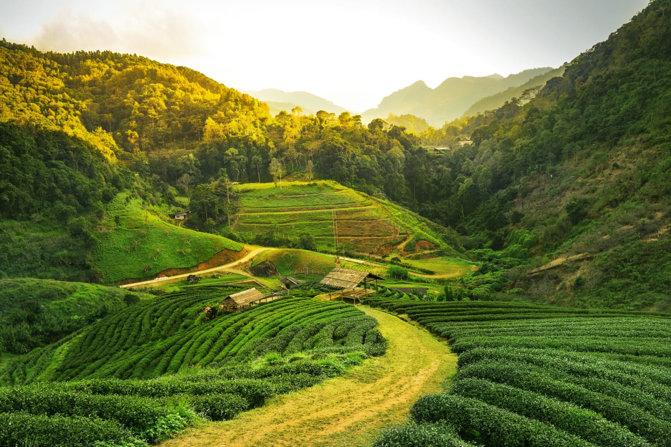 Darjeeling