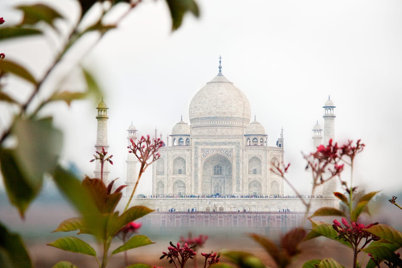 Taj