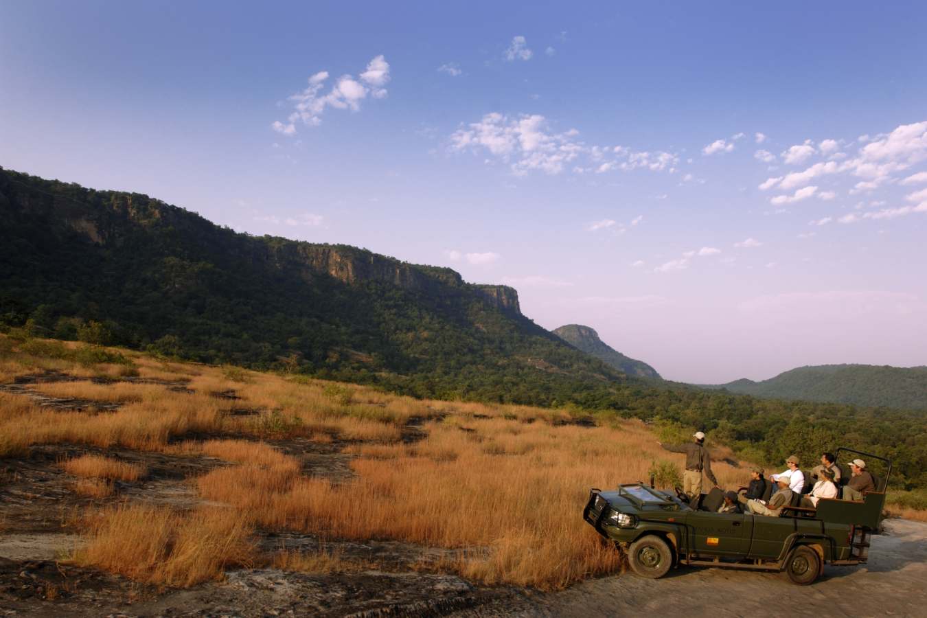 Wild India