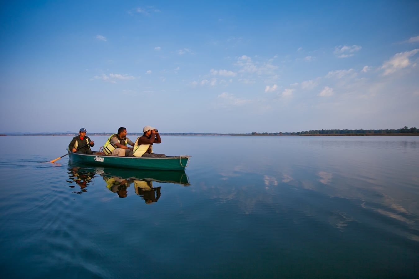 Wild India