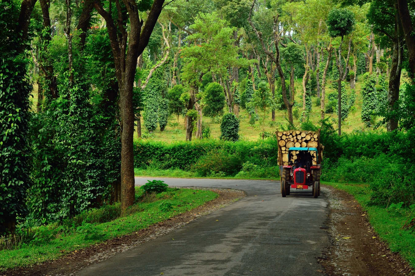Coorg - Kerala and Karnataka