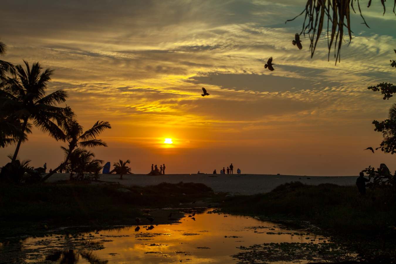Marari Beach - India