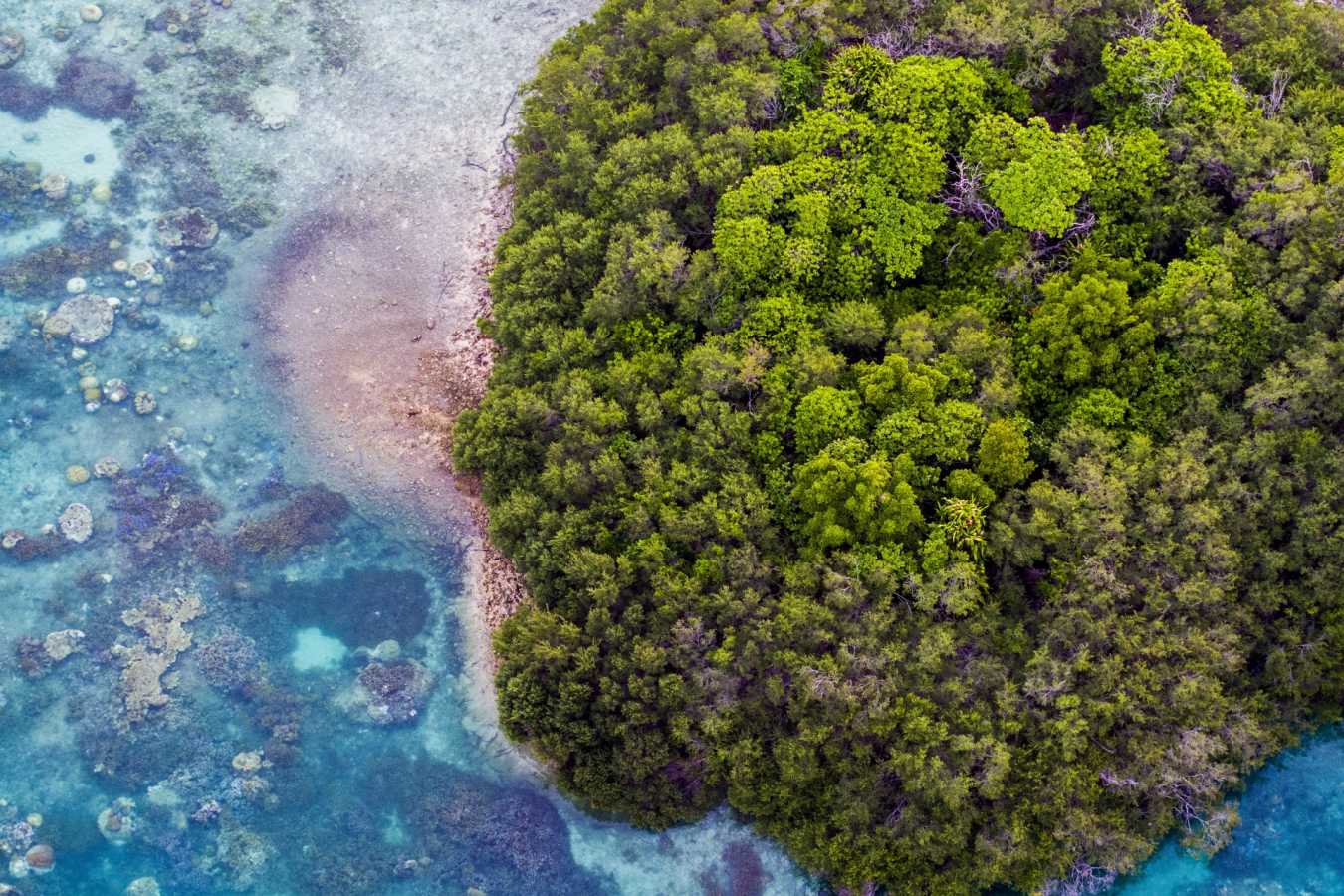 Aerial View - Bawah Island