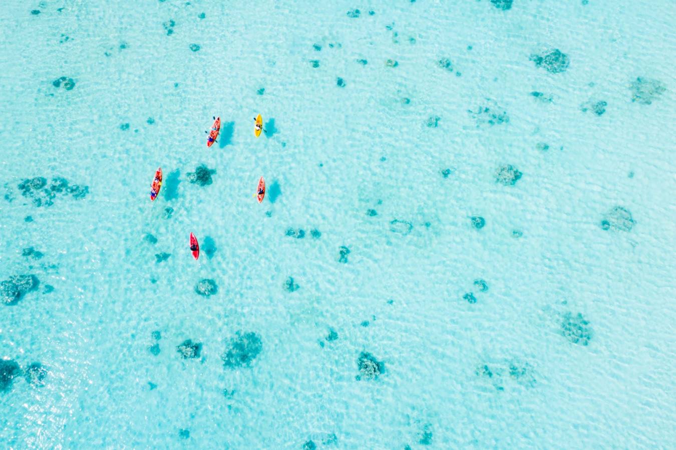 Paradise Found - Bawah Island