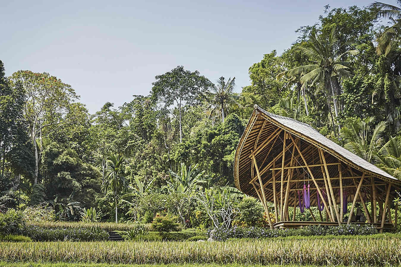 Beautiful Scenery - Four Seasons Sayan