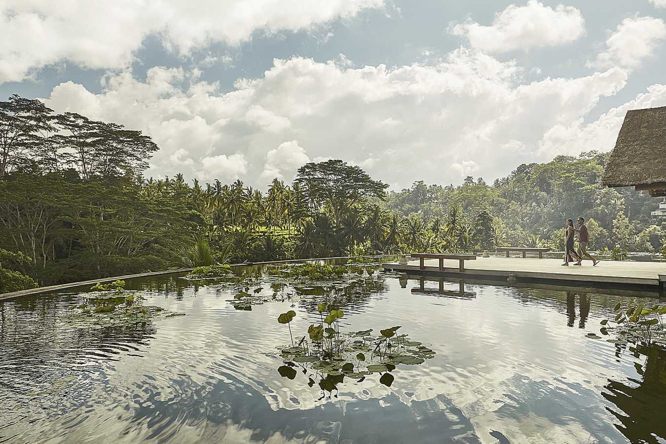 Lotus Pond - Four Seasons Sayan