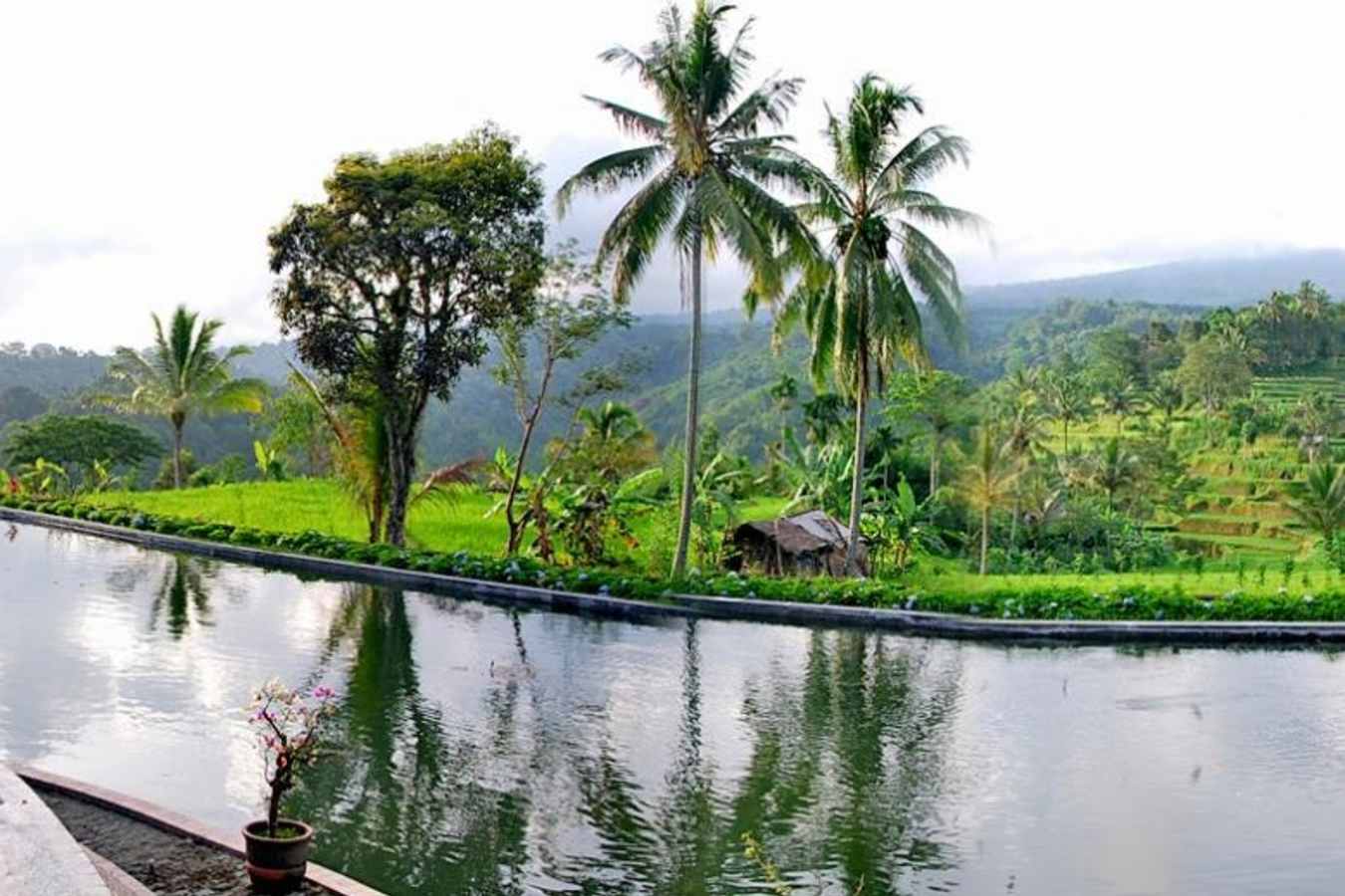 Swimming Pool - Ijen Resort