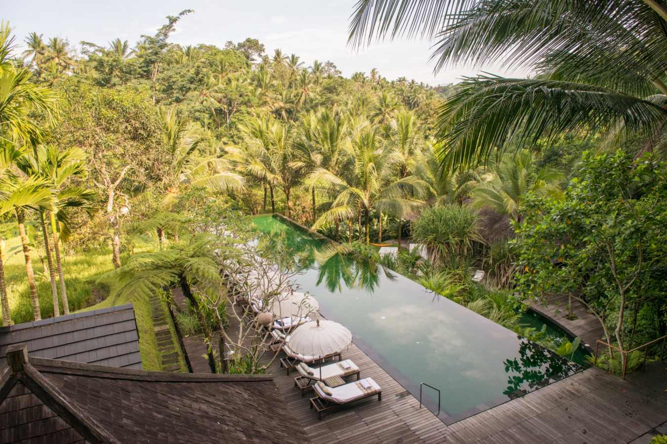 Swimming Pool - Komaneka at Bisma