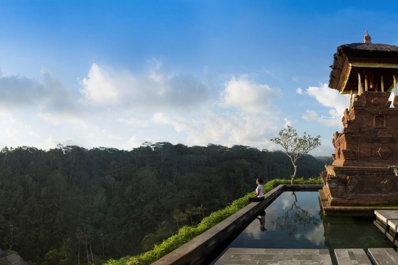 Mandapa, a Ritz-Carlton Reserve