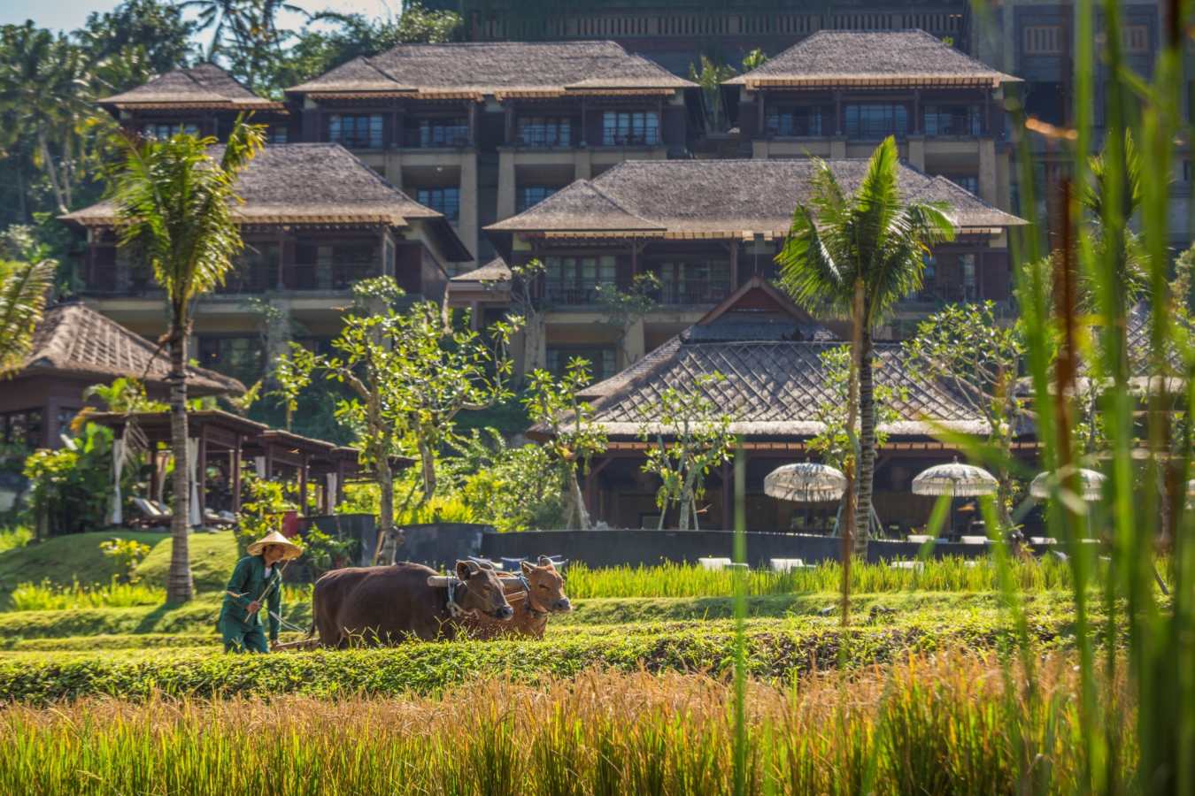 Mandapa, a Ritz-Carlton Reserve