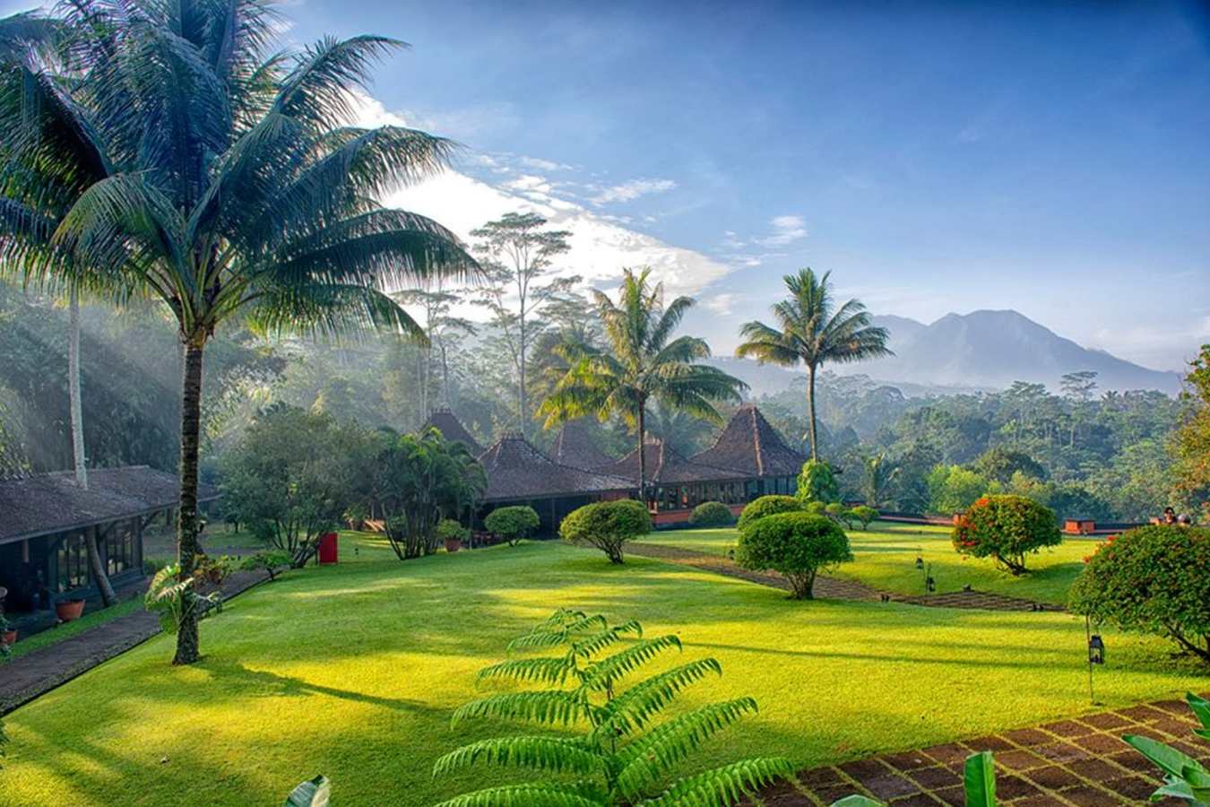 Landscape - MesaStila