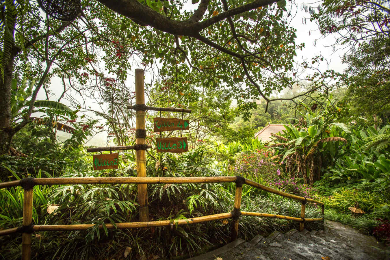 Munduk Moding Plantation Nature Resort and Spa