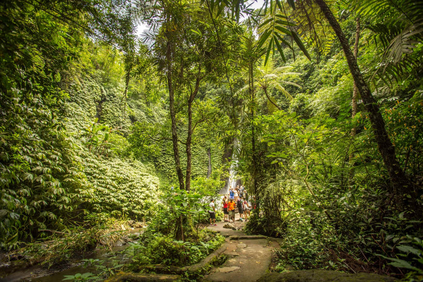 Munduk Moding Plantation Nature Resort and Spa