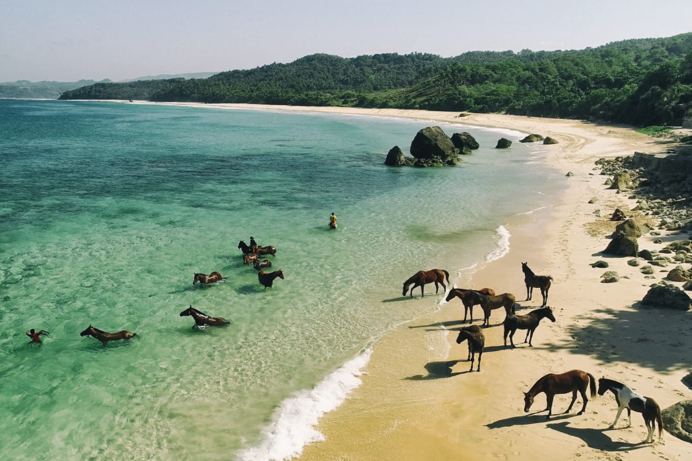 Horses in water - Nihi Sumba  