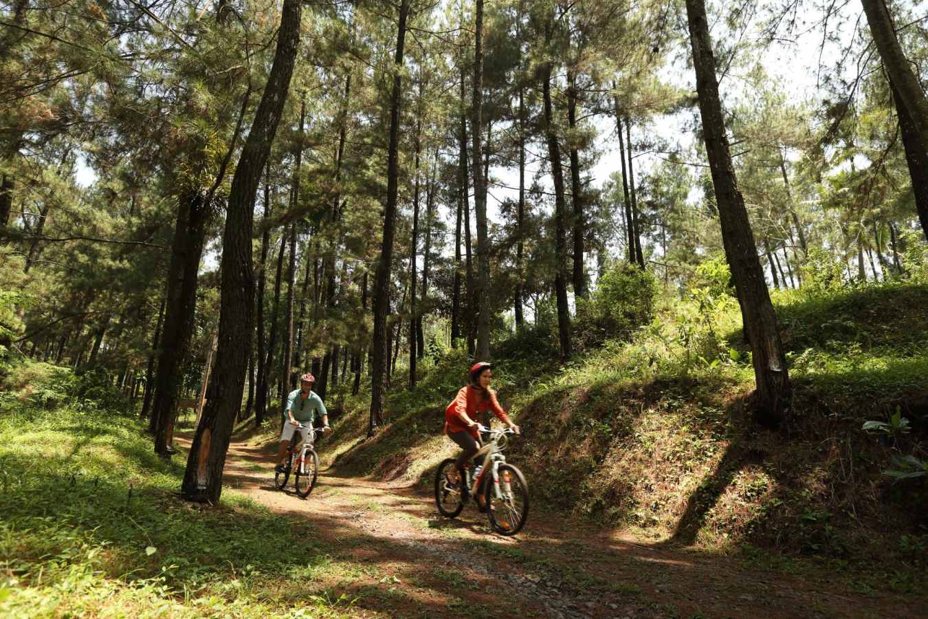 Cycling Tour - Plataran Borobudur Resort & Spa