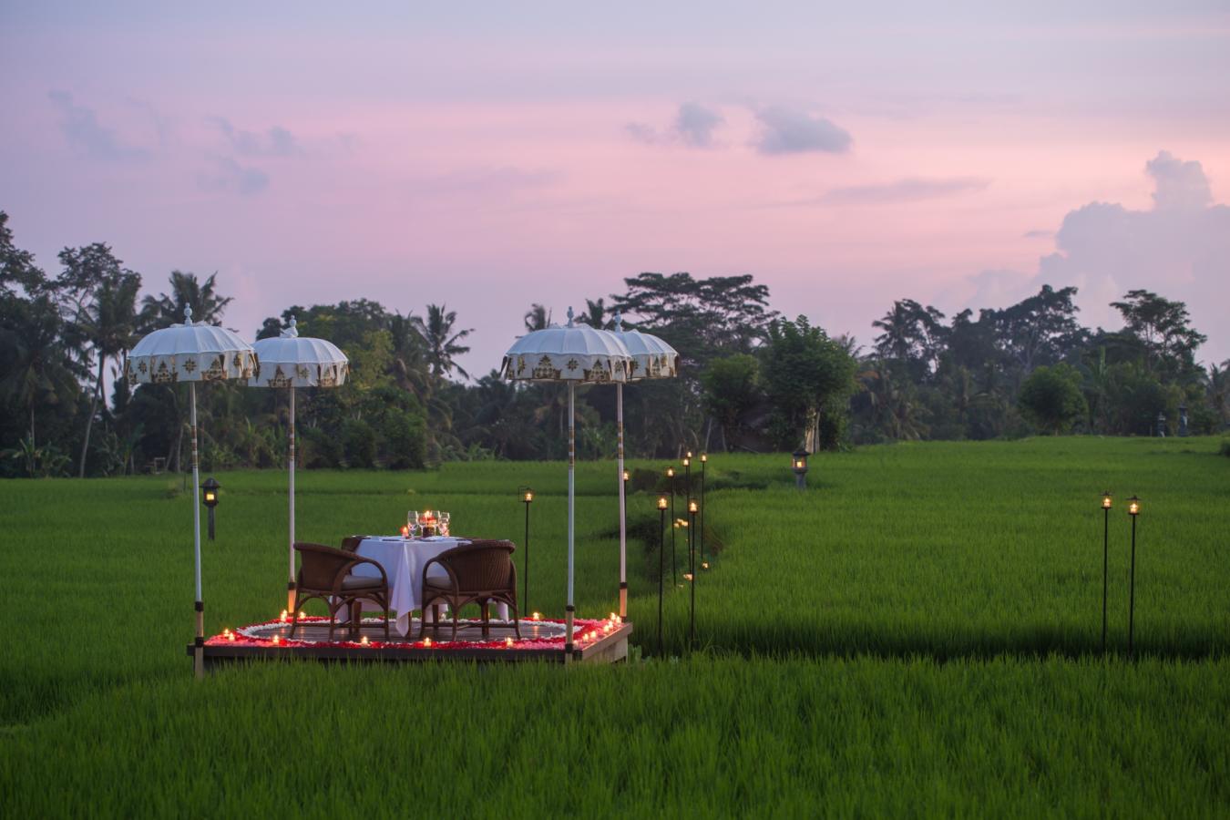 Dining Experience