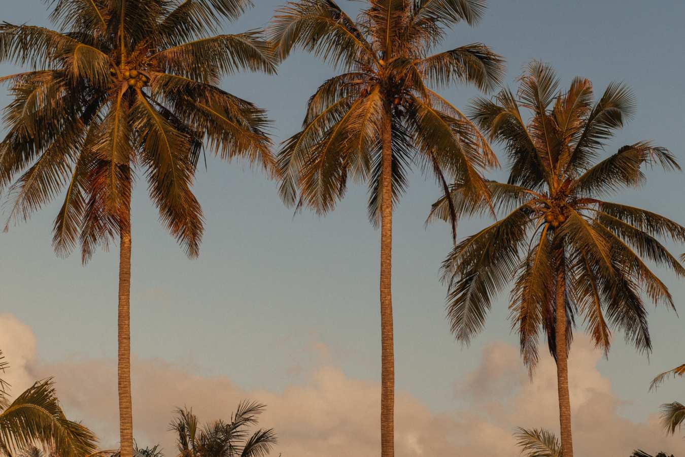 View of the bar / restaurant  