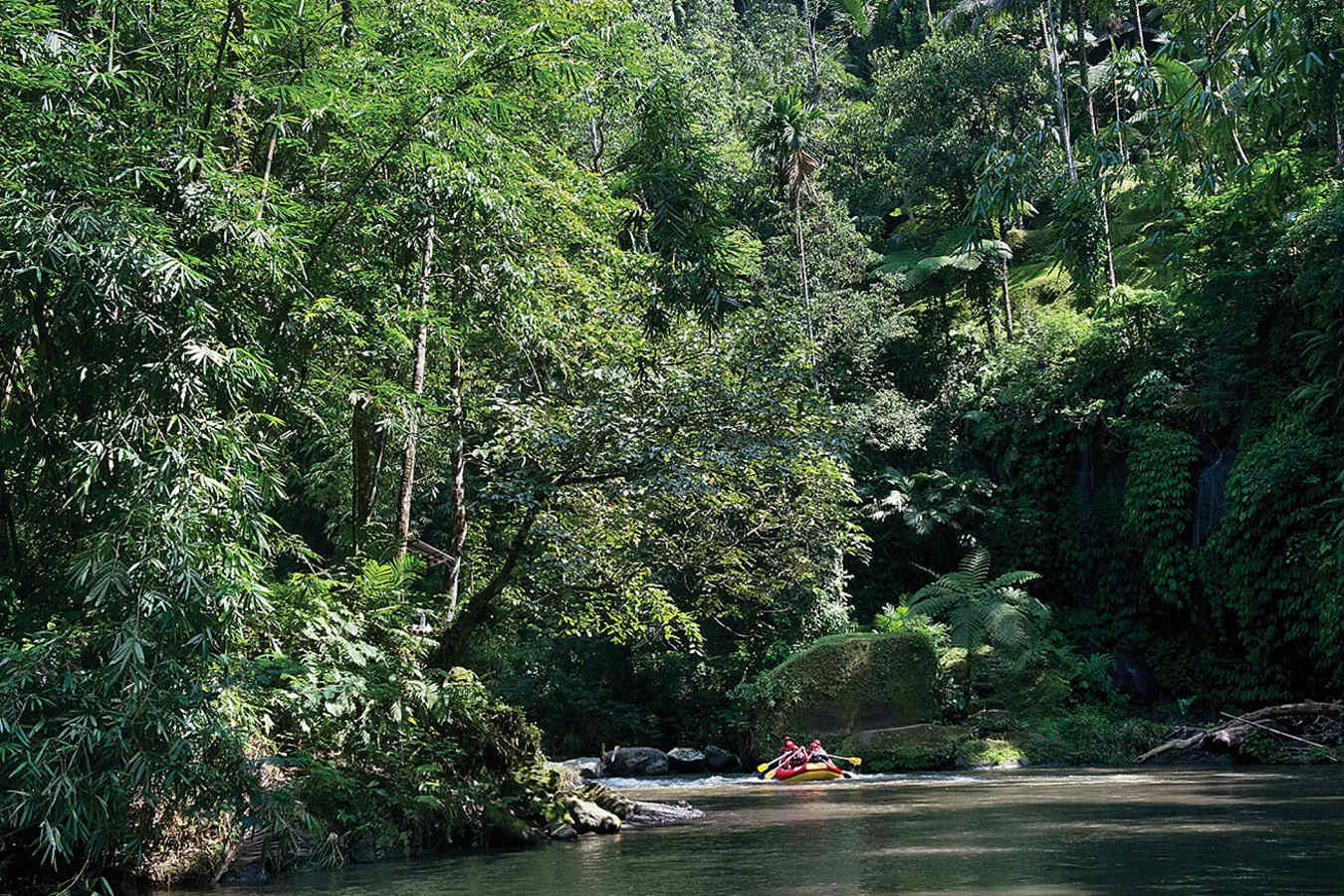 River Rafting in Ubud - Bali for Families