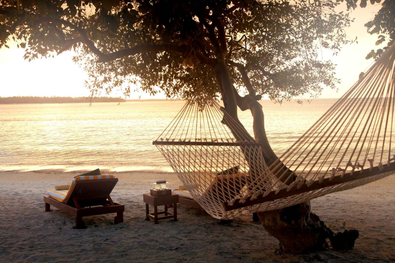 Hammock on the beach 