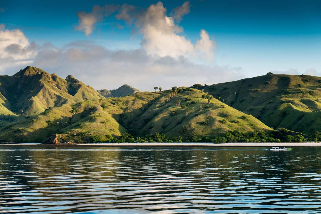 Komodo National Park