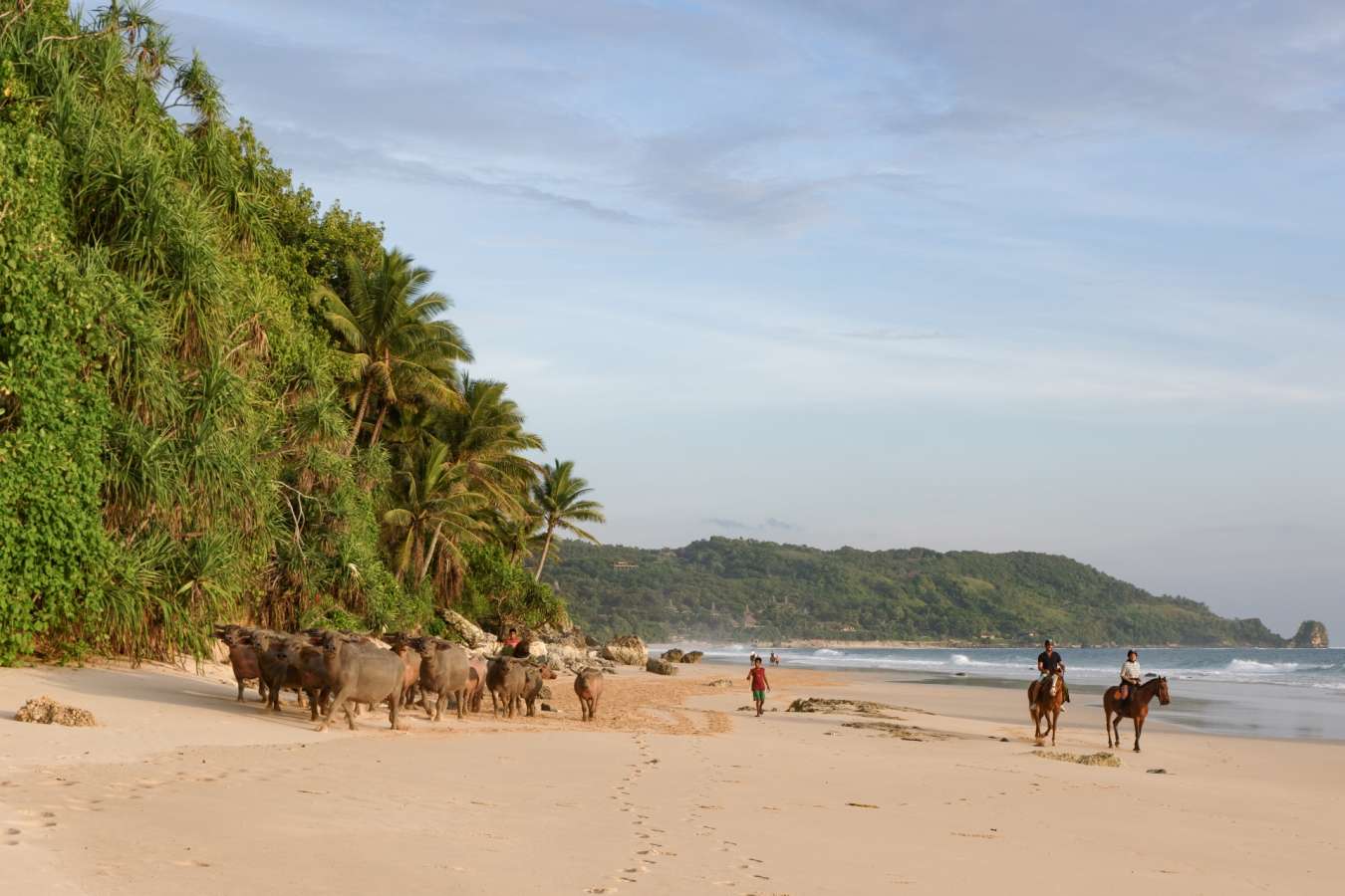 Horseriding at Nihi