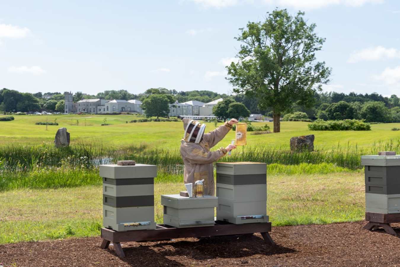 estate bees 