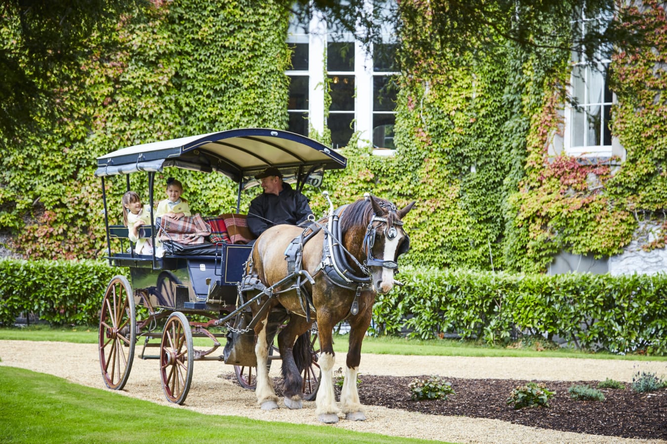 Car through the Gardens