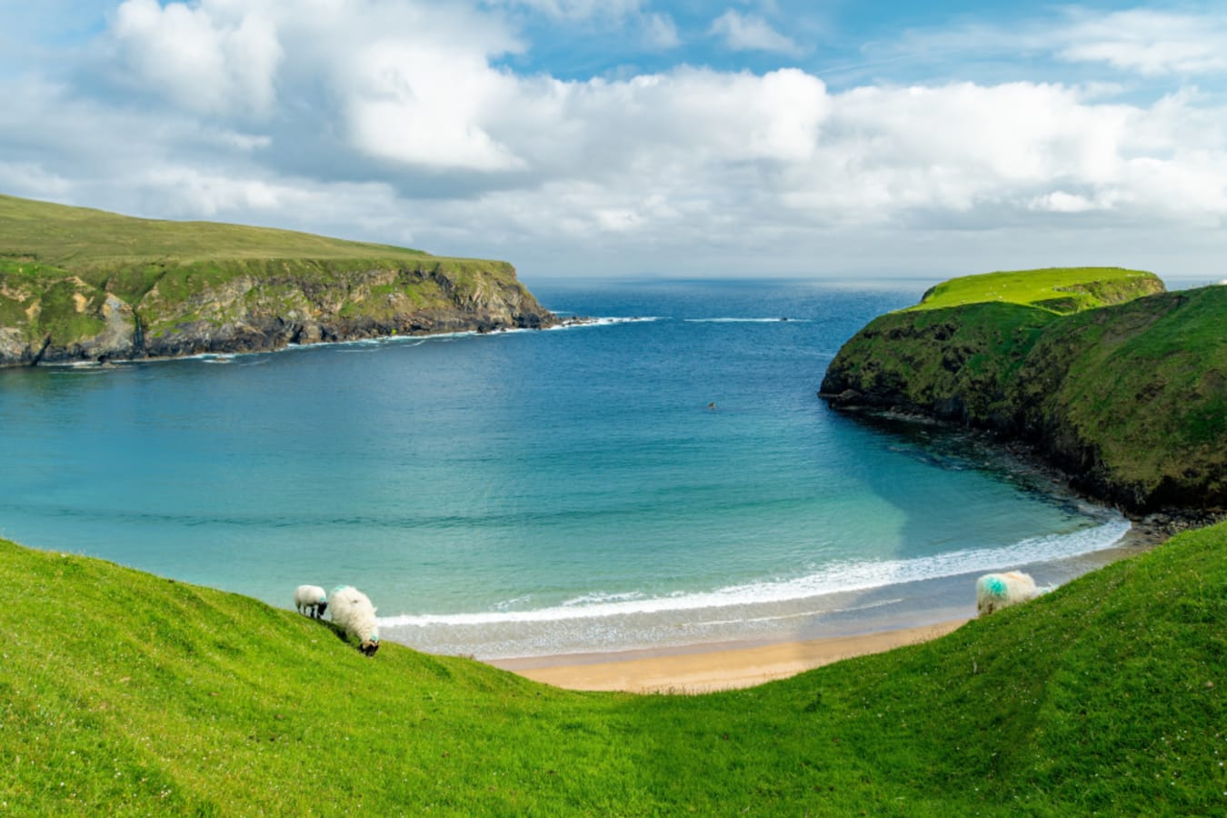 Donegal 