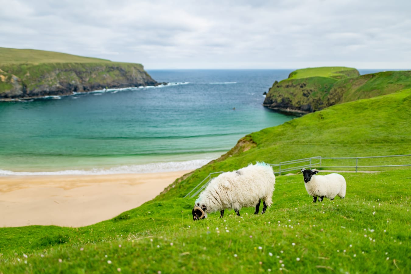 Donegal 