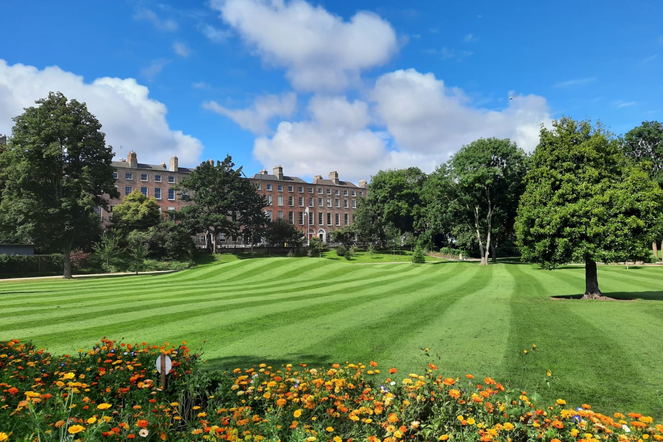 The Merrion 