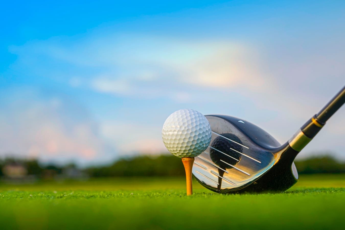 Golf club  