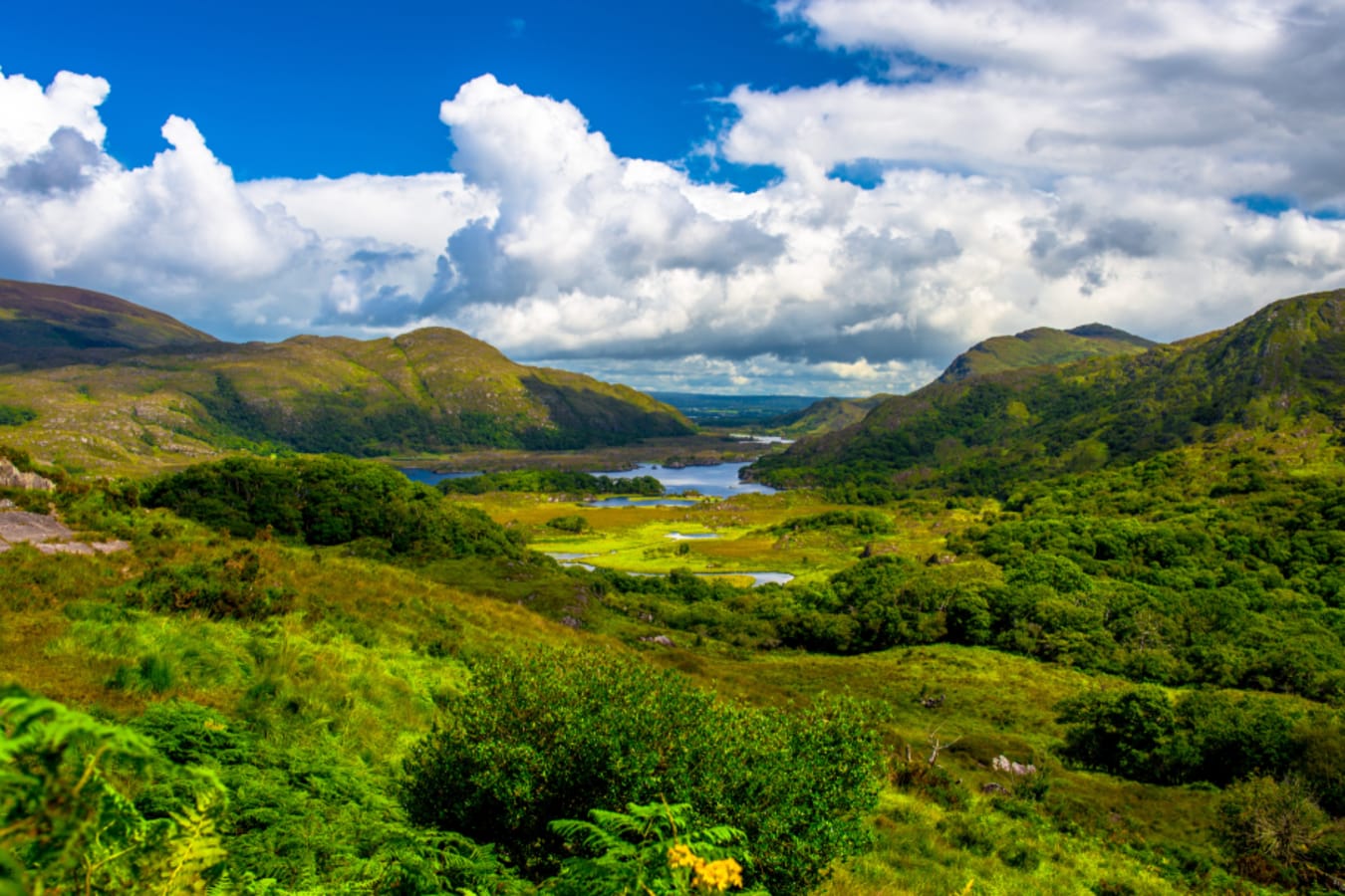 Killarney National Park 