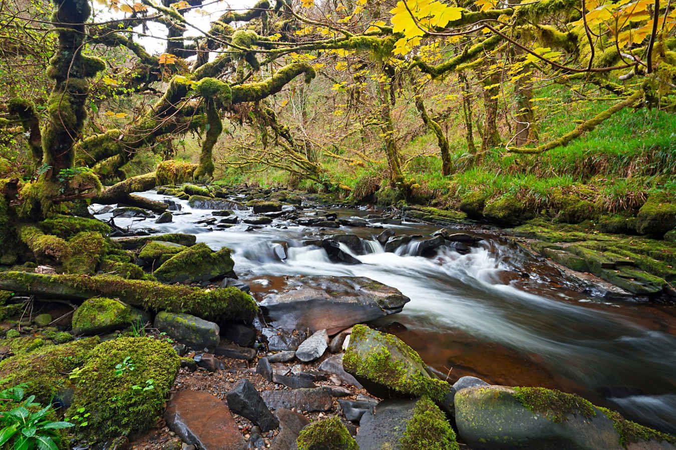 Creek