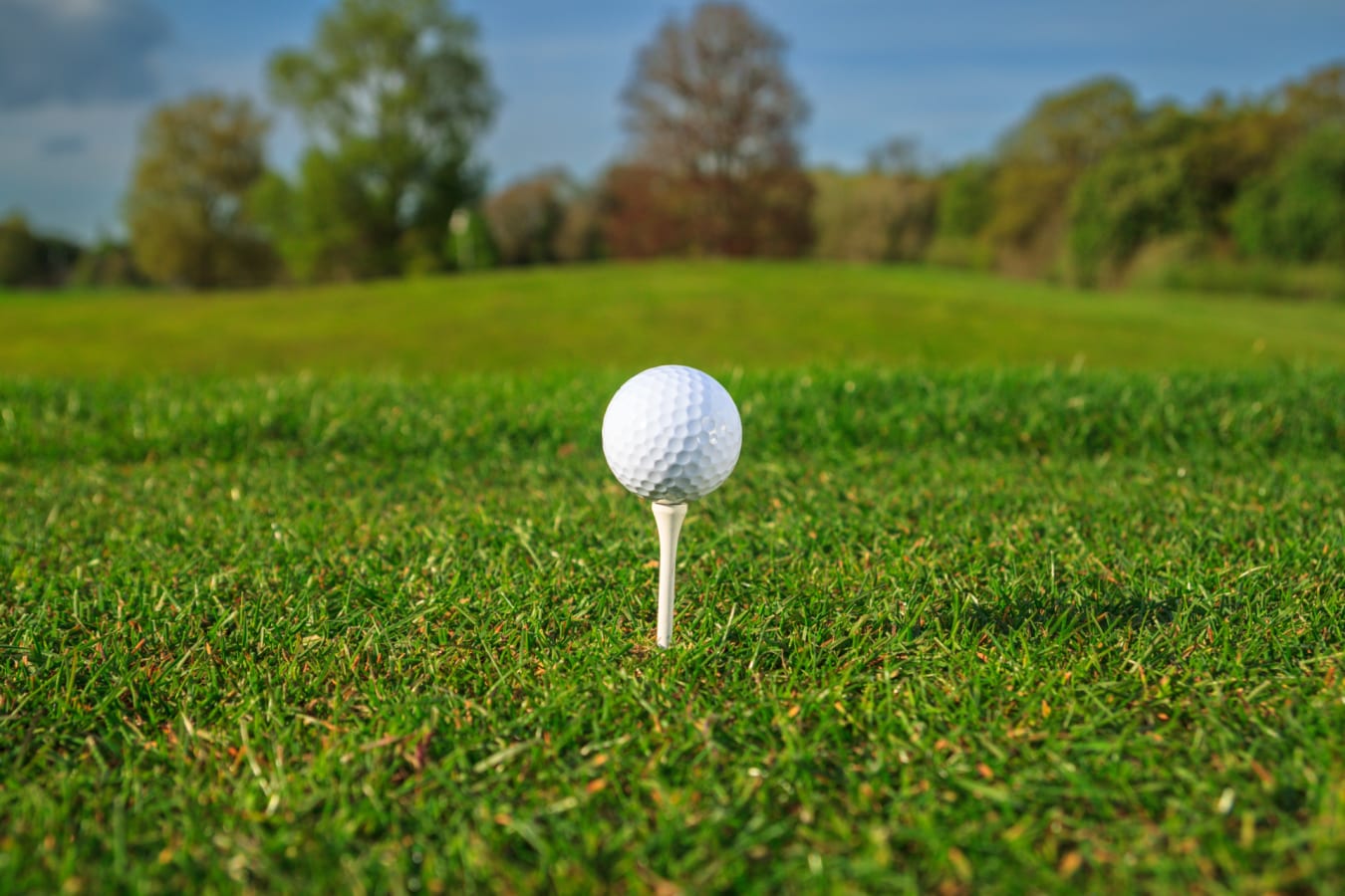 Golf ball 