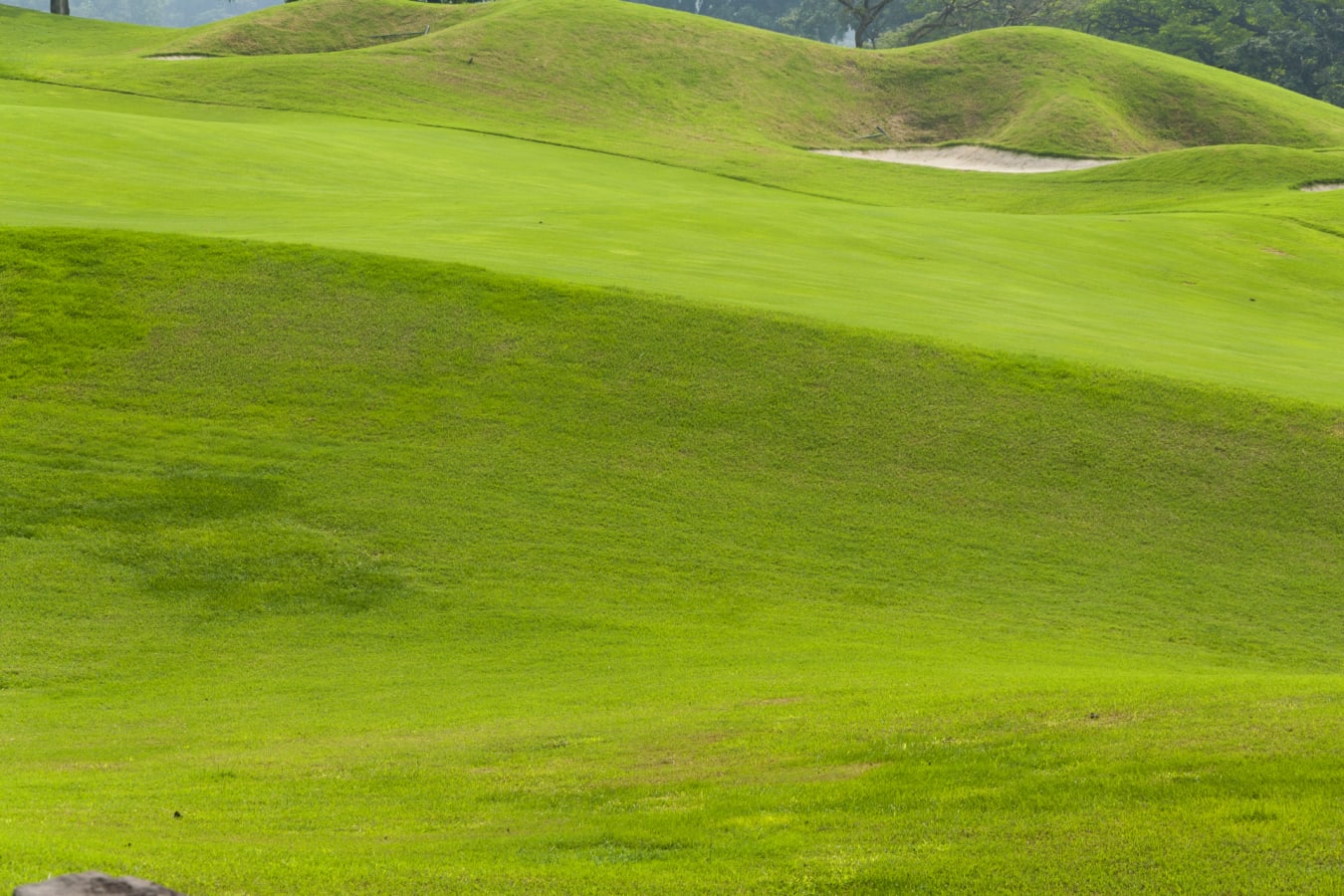 Golf Ground 