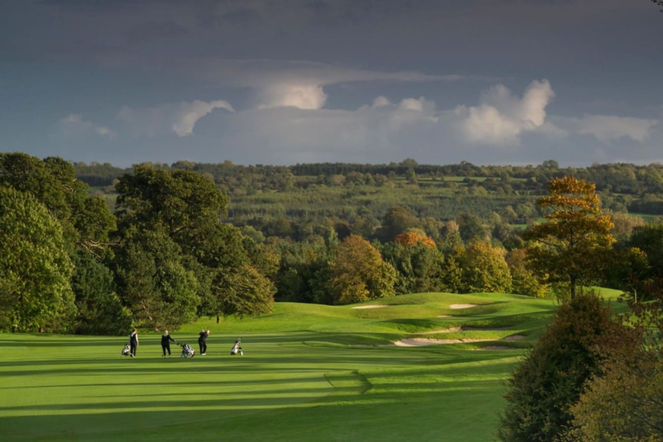 Golfers 