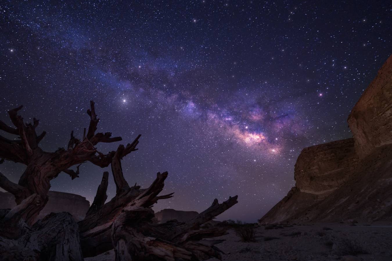 Stargazing