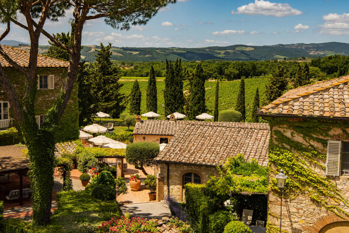 Panoramic view