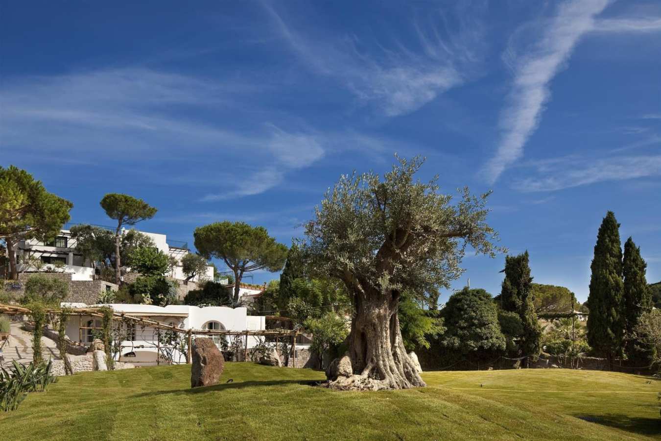 Garden - Garden and Villas Resort