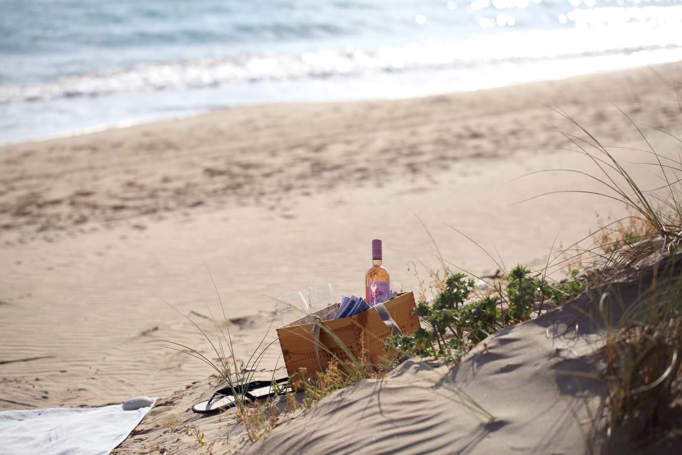 Beach picnic